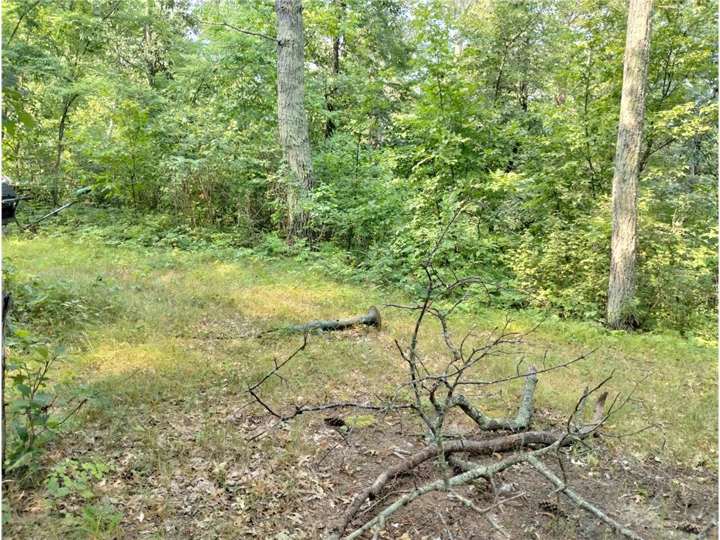 3918 County Road 168 Pequot Lakes MN 56472 - Sibley 7083669 image5