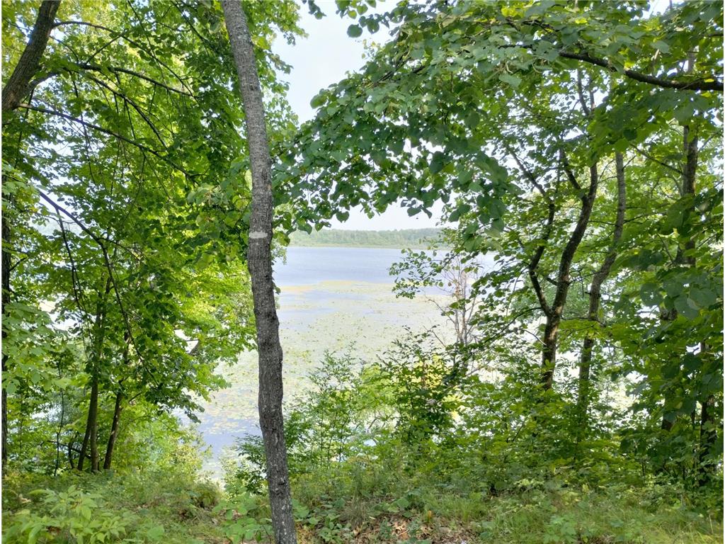 3918 County Road 168 Pequot Lakes MN 56472 - Sibley 7083669 image6