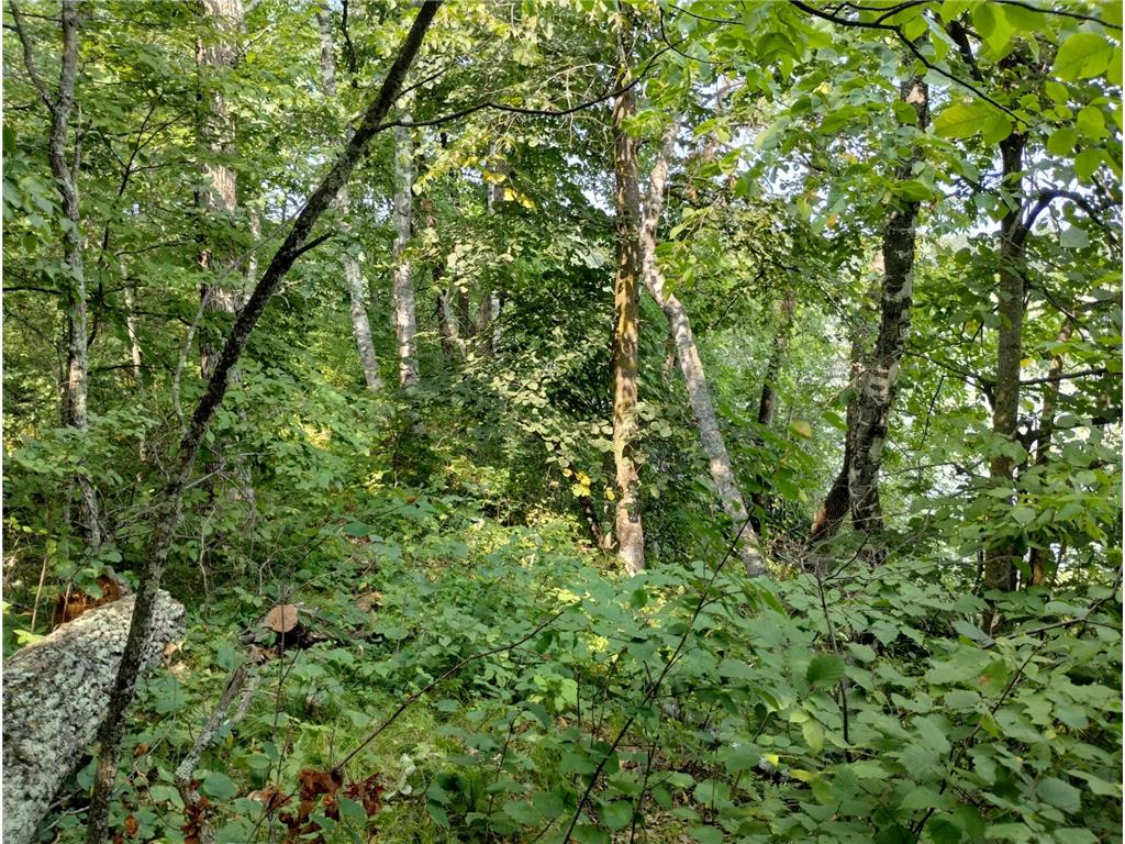 3918 County Road 168 Pequot Lakes MN 56472 - Sibley 7083669 image8
