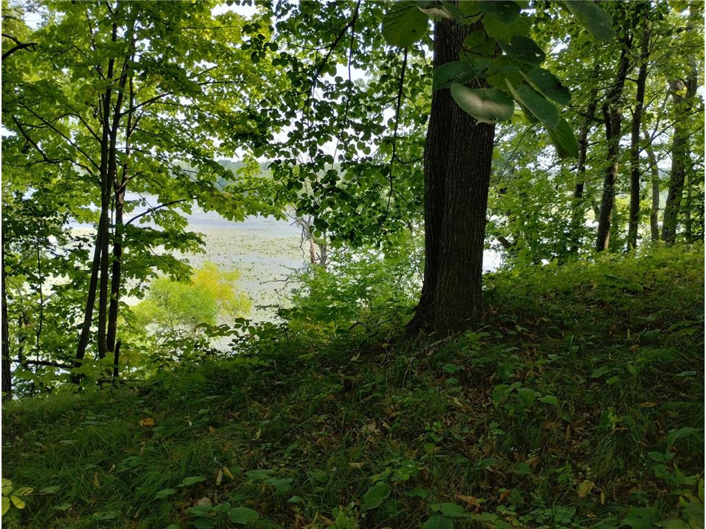 3918 County Road 168 Pequot Lakes MN 56472 - Sibley 7083669 image9
