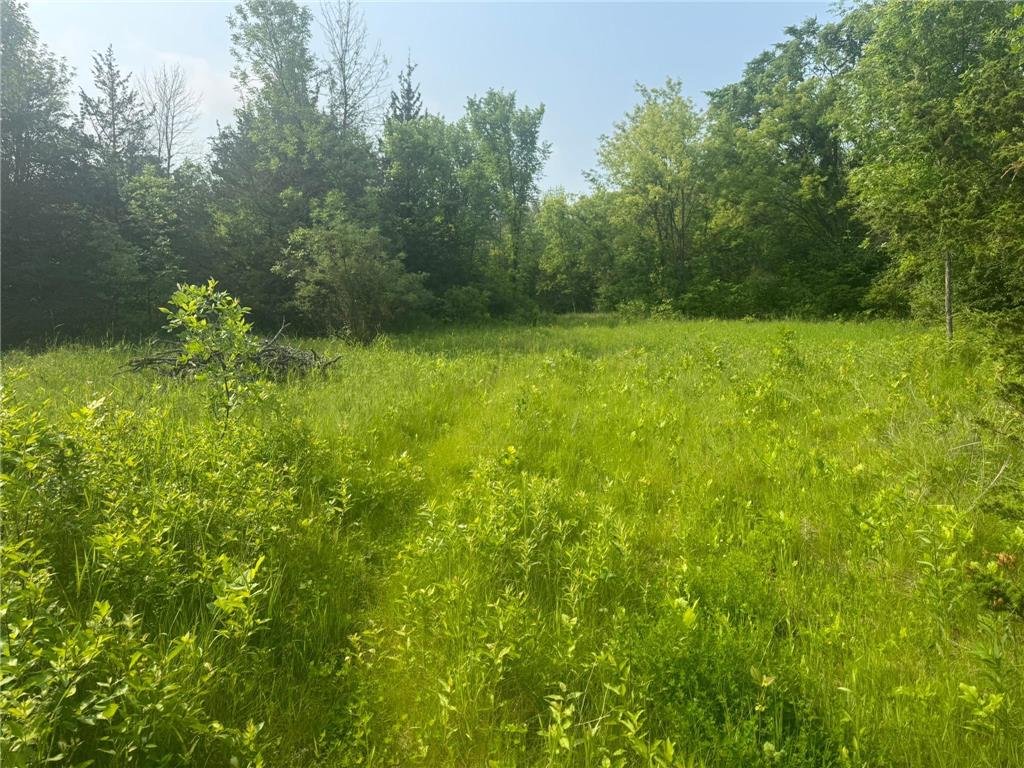 3920 Tomahawk Trail Medina MN 55340 6736854 image1