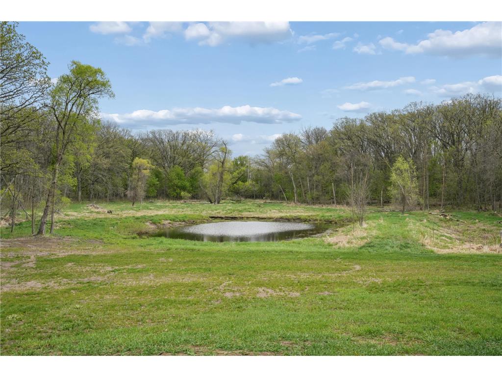 39206 470th Avenue Otto Twp MN 56573 7083719 image24