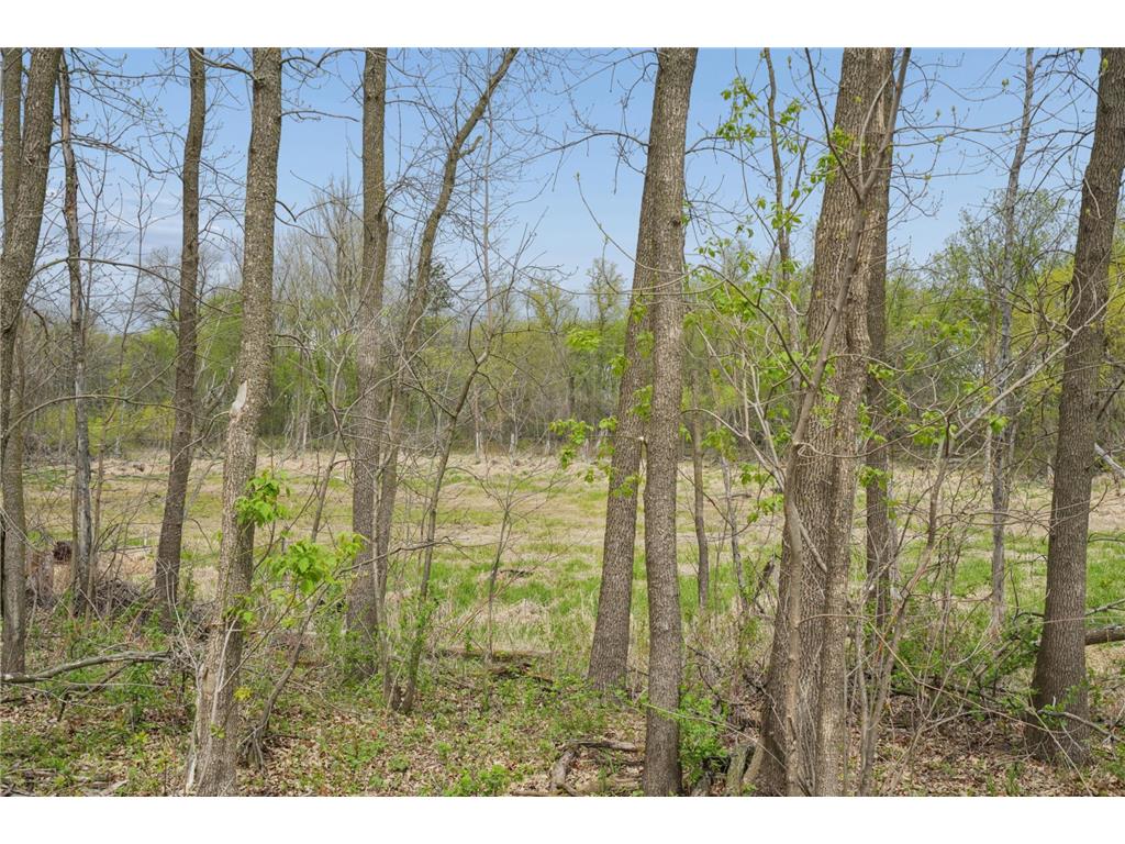 39206 470th Avenue Otto Twp MN 56573 7083719 image25
