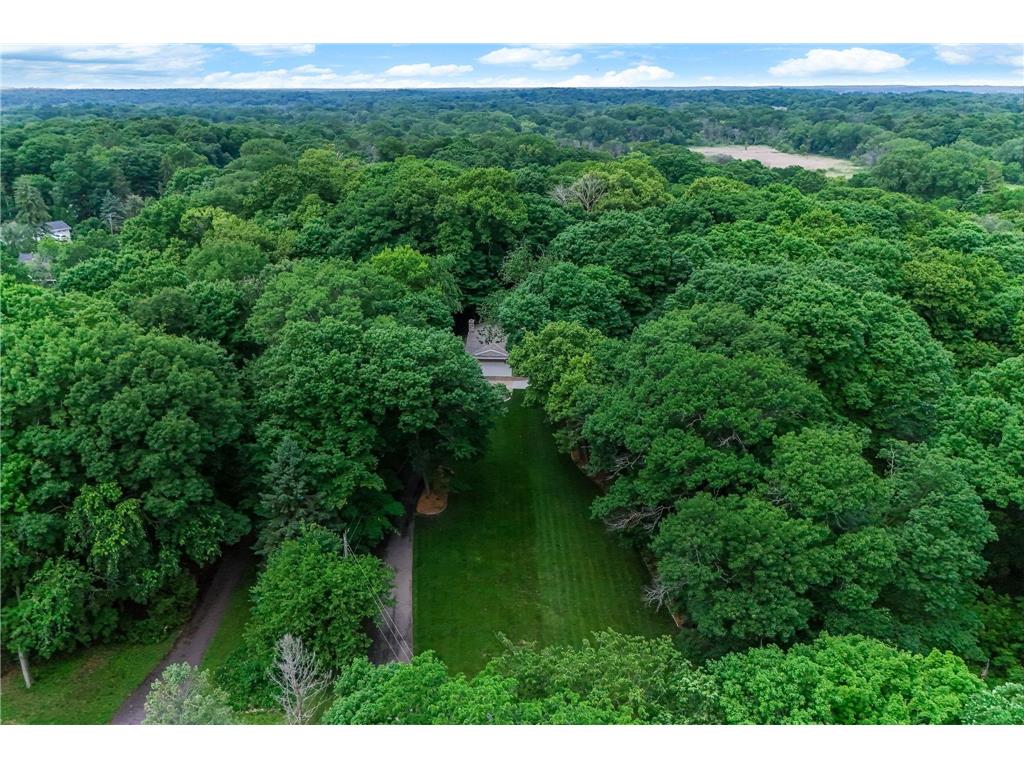 3924 Tonkawood Road Minnetonka MN 55345 7085481 image43