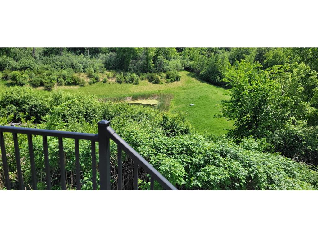 3927 Stone Point Drive NE Rochester MN 55906 7093507 image39