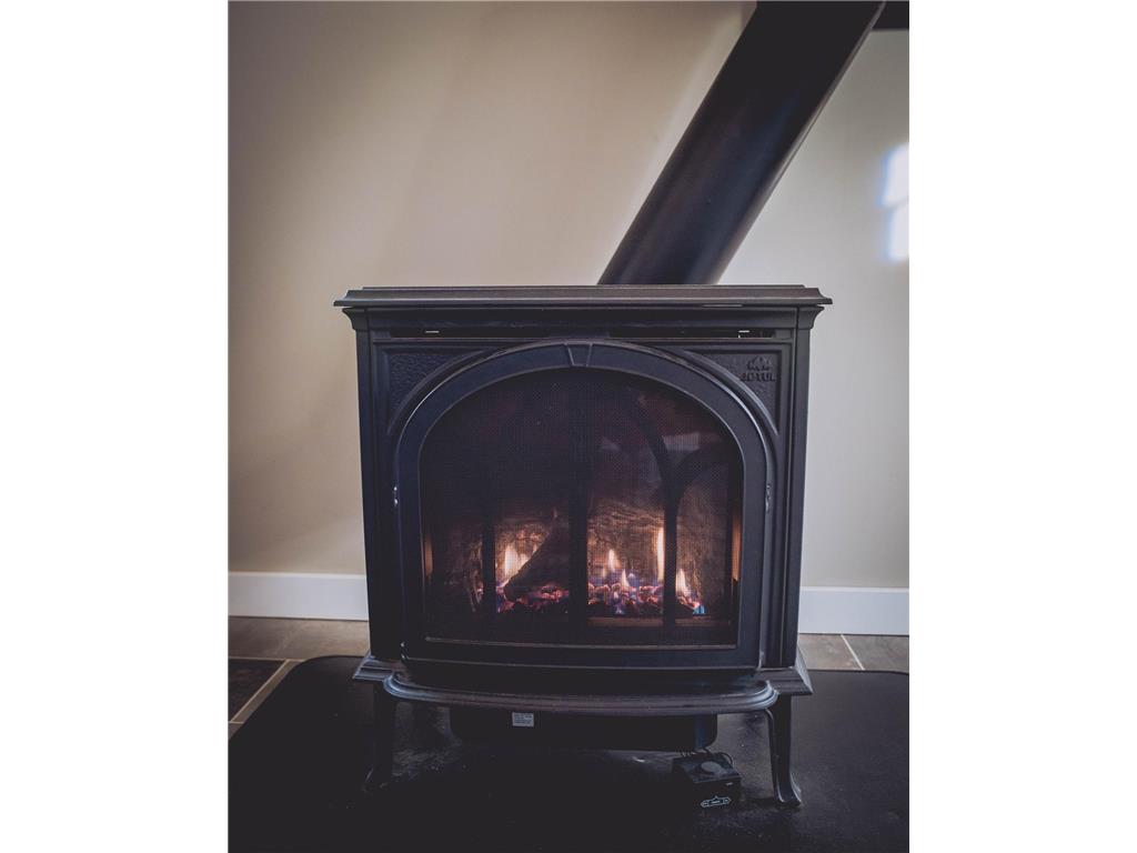 393 W Avenue Nevis MN 56467 7033921 image11