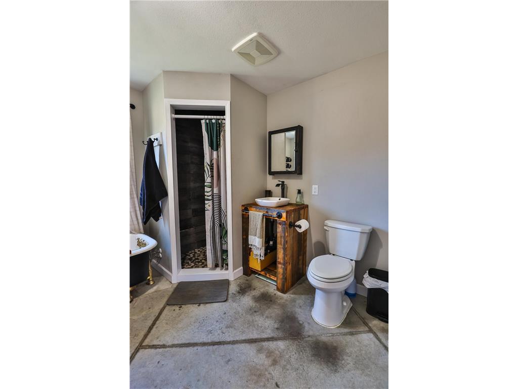 393 West Avenue Nevis MN 56467 7033920 image23