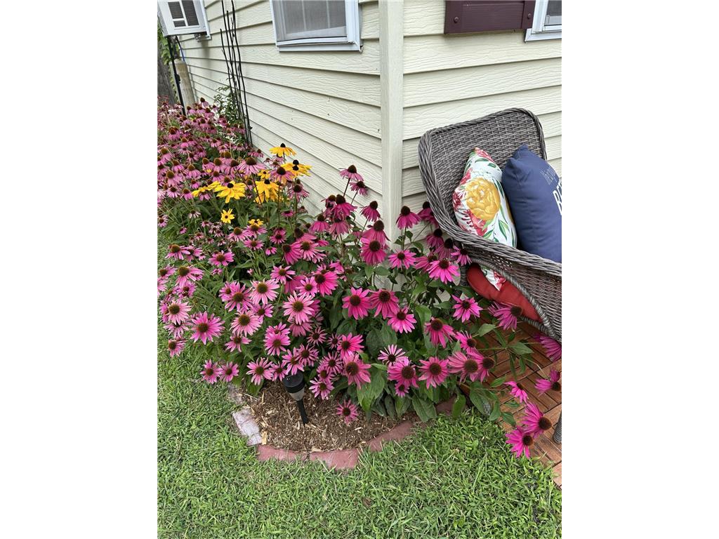 39302 County road 1 Richville MN 56576 - Otter Tail 7032715 image17