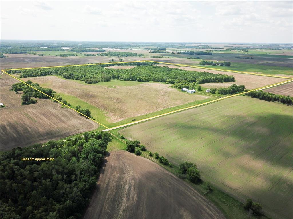 39309 350th Street SE Queen Twp MN 56542 6737750 image1