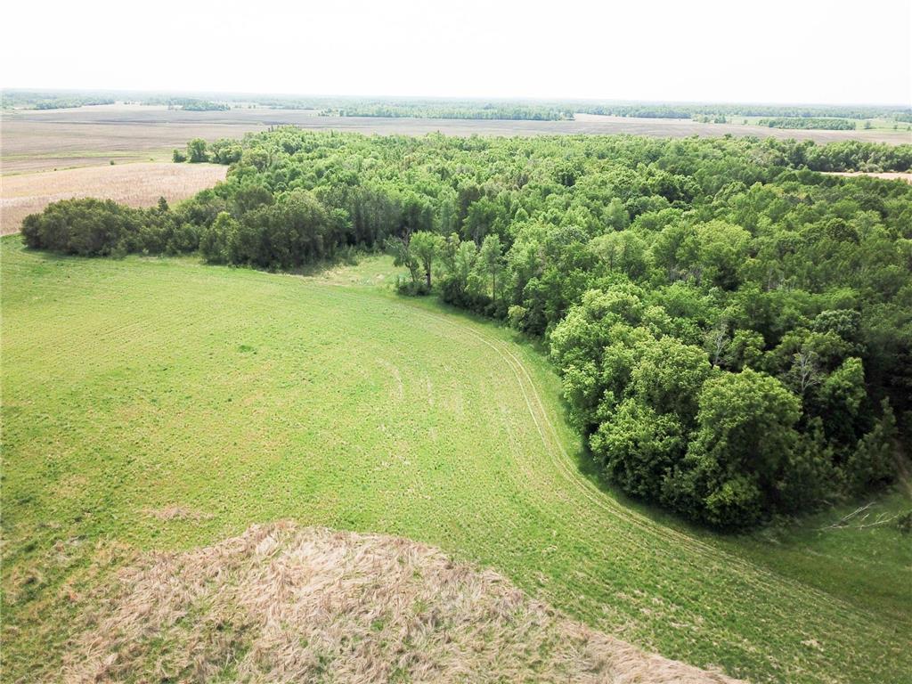 39309 350th Street SE Queen Twp MN 56542 6737750 image11