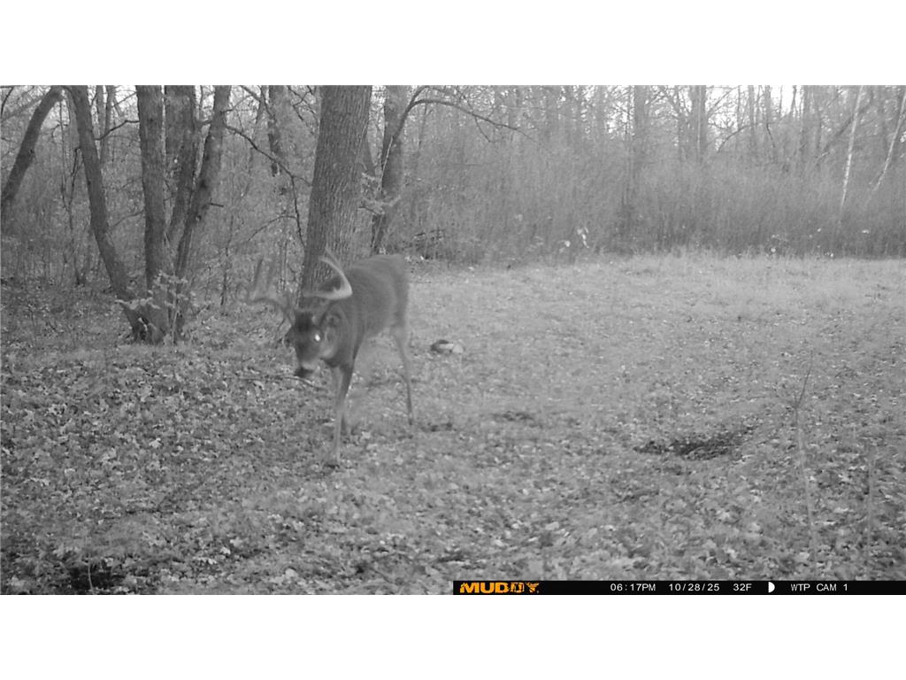 39309 350th Street SE Queen Twp MN 56542 6737750 image22