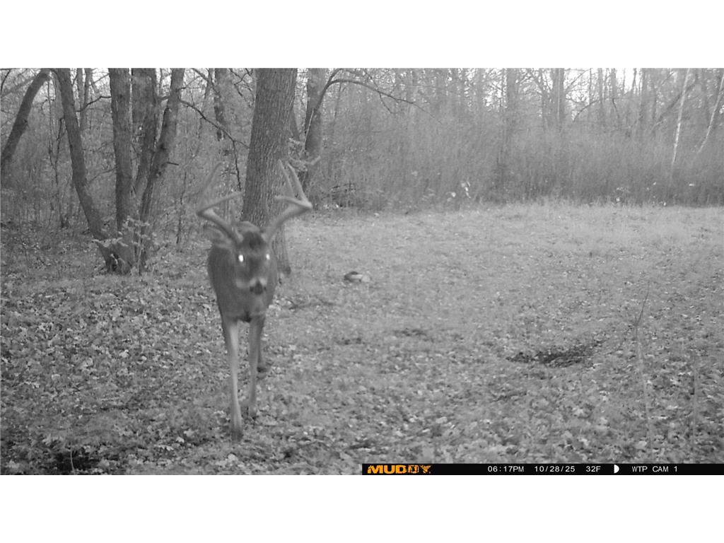 39309 350th Street SE Queen Twp MN 56542 6737750 image23