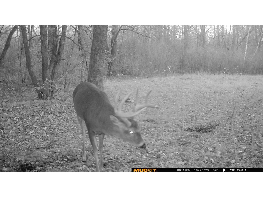 39309 350th Street SE Queen Twp MN 56542 6737750 image24