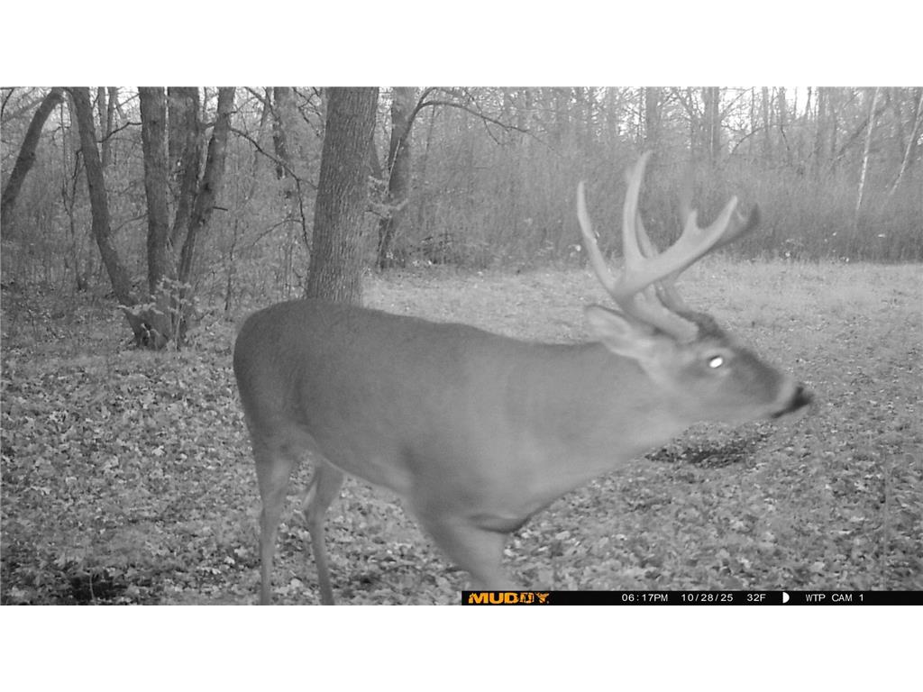 39309 350th Street SE Queen Twp MN 56542 6737750 image25