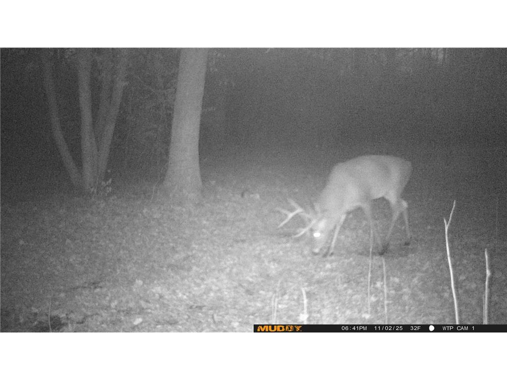 39309 350th Street SE Queen Twp MN 56542 6737750 image26