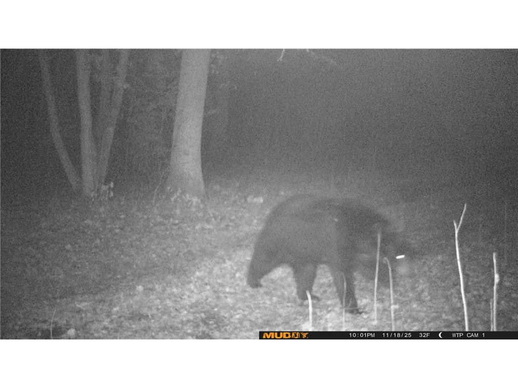 39309 350th Street SE Queen Twp MN 56542 6737750 image28