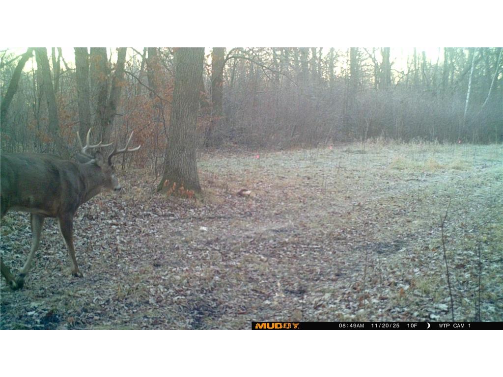 39309 350th Street SE Queen Twp MN 56542 6737750 image29