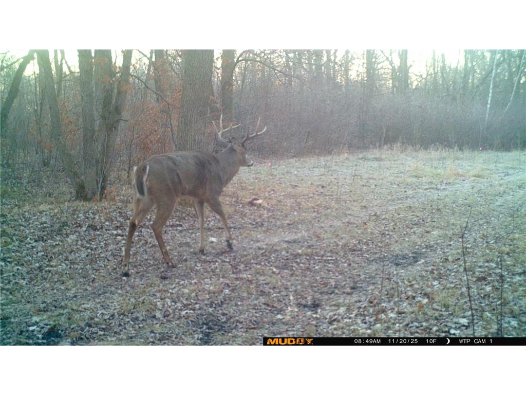 39309 350th Street SE Queen Twp MN 56542 6737750 image30