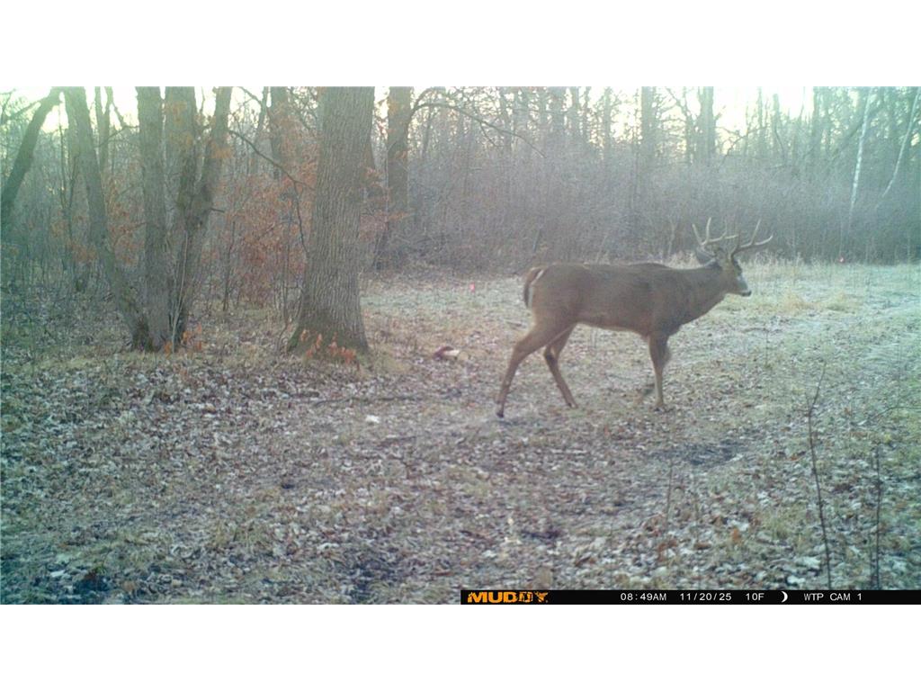 39309 350th Street SE Queen Twp MN 56542 6737750 image31