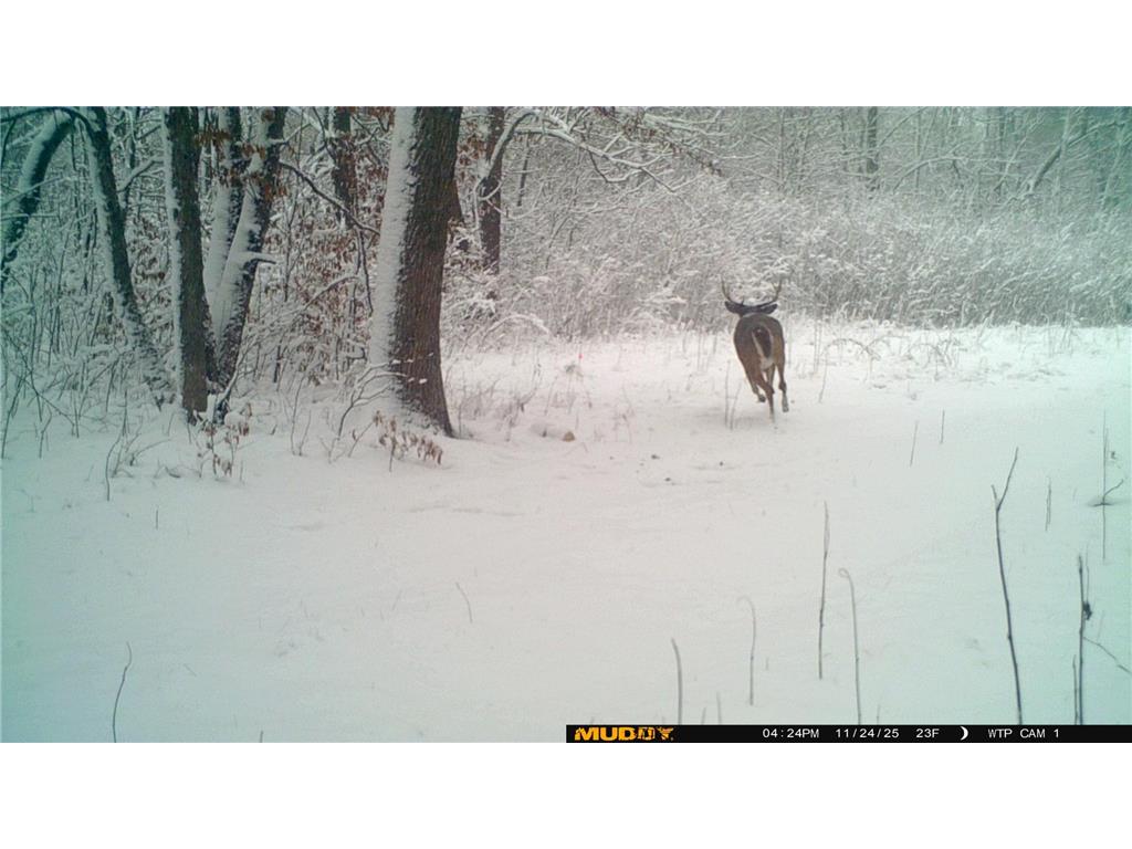 39309 350th Street SE Queen Twp MN 56542 6737750 image32