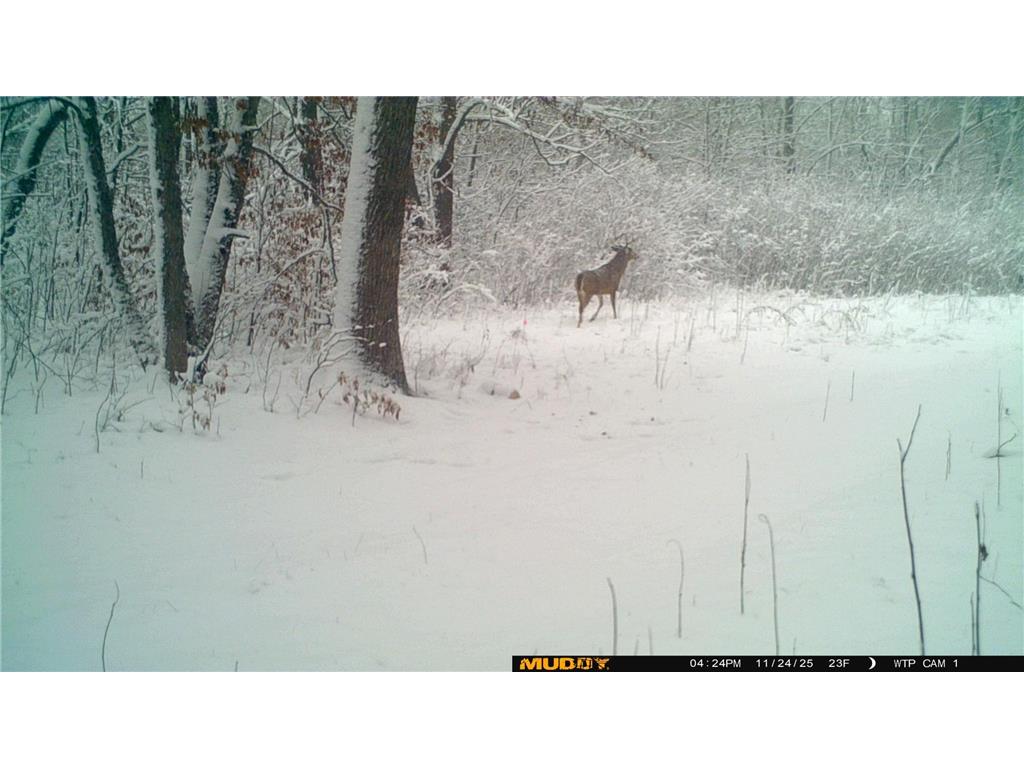 39309 350th Street SE Queen Twp MN 56542 6737750 image33