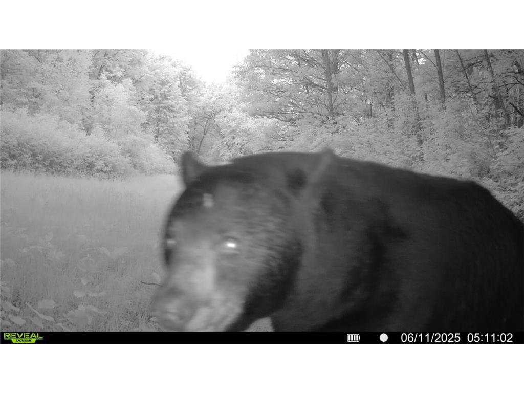 39309 350th Street SE Queen Twp MN 56542 6737750 image34