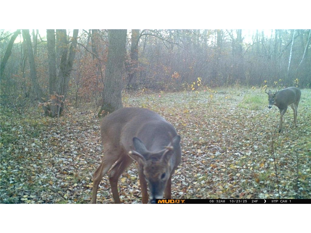 39309 350th Street SE Queen Twp MN 56542 6737750 image35