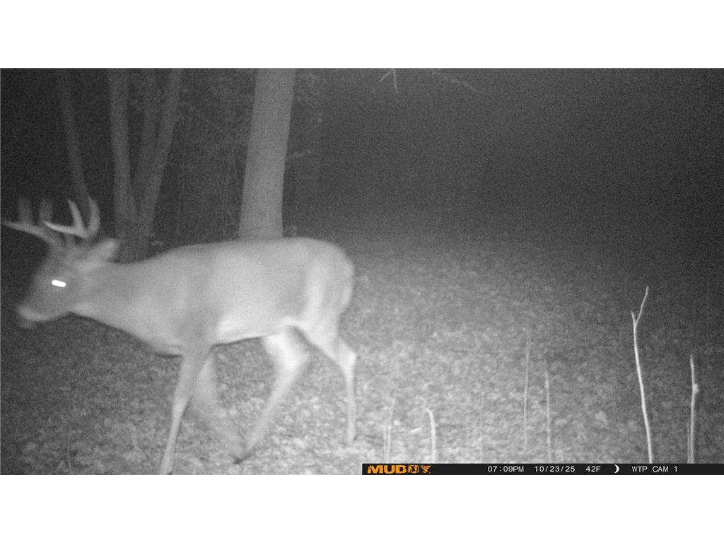 39309 350th Street SE Queen Twp MN 56542 6737750 image36