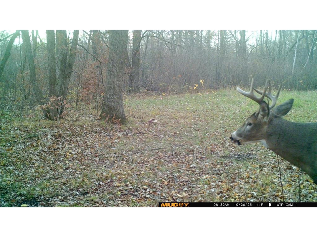 39309 350th Street SE Queen Twp MN 56542 6737750 image37