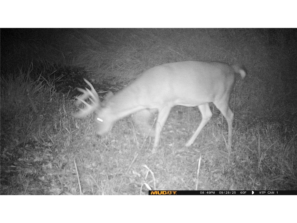 39309 350th Street SE Queen Twp MN 56542 6737750 image41