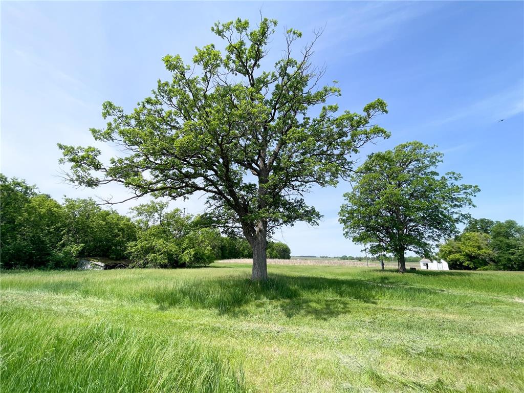 39309 350th Street SE Queen Twp MN 56542 6737750 image52