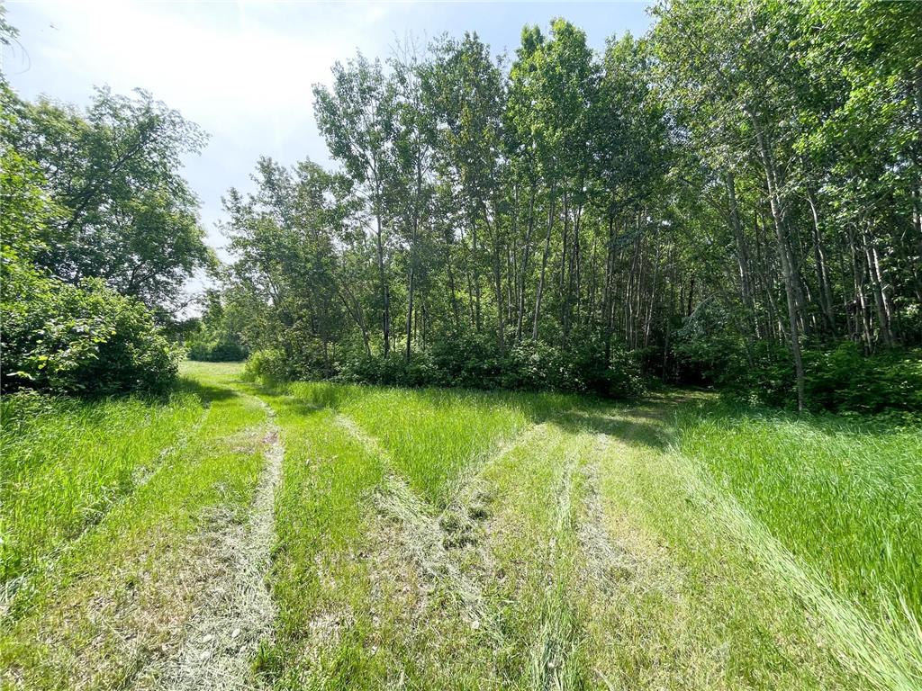 39309 350th Street SE Queen Twp MN 56542 6737750 image58