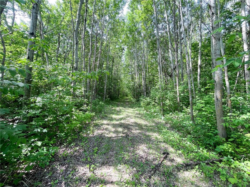 39309 350th Street SE Queen Twp MN 56542 6737750 image59