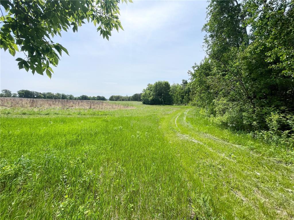 39309 350th Street SE Queen Twp MN 56542 6737750 image60