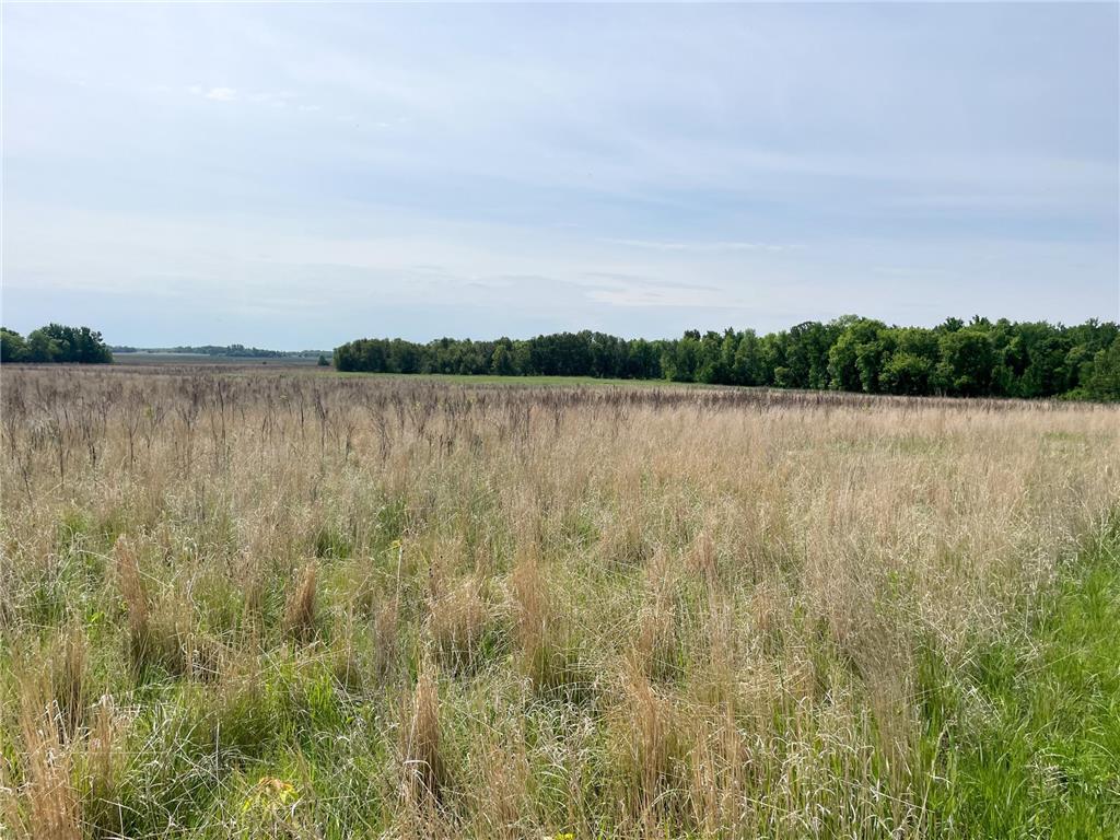 39309 350th Street SE Queen Twp MN 56542 6737750 image61