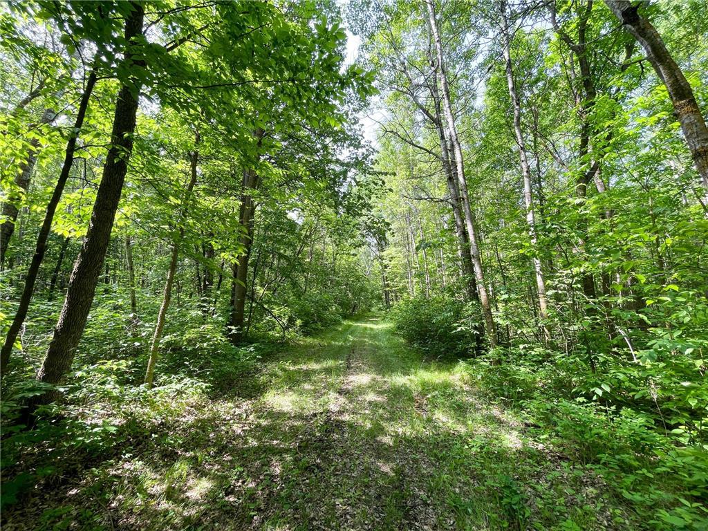 39309 350th Street SE Queen Twp MN 56542 6737750 image62