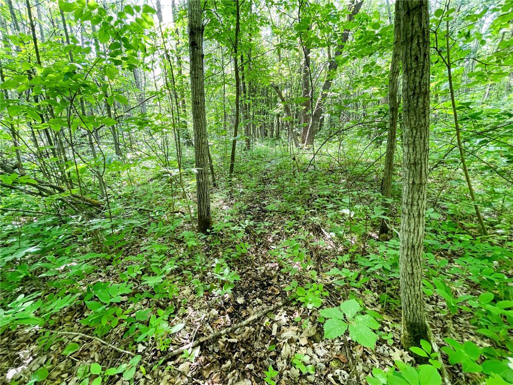 39309 350th Street SE Queen Twp MN 56542 6737750 image63