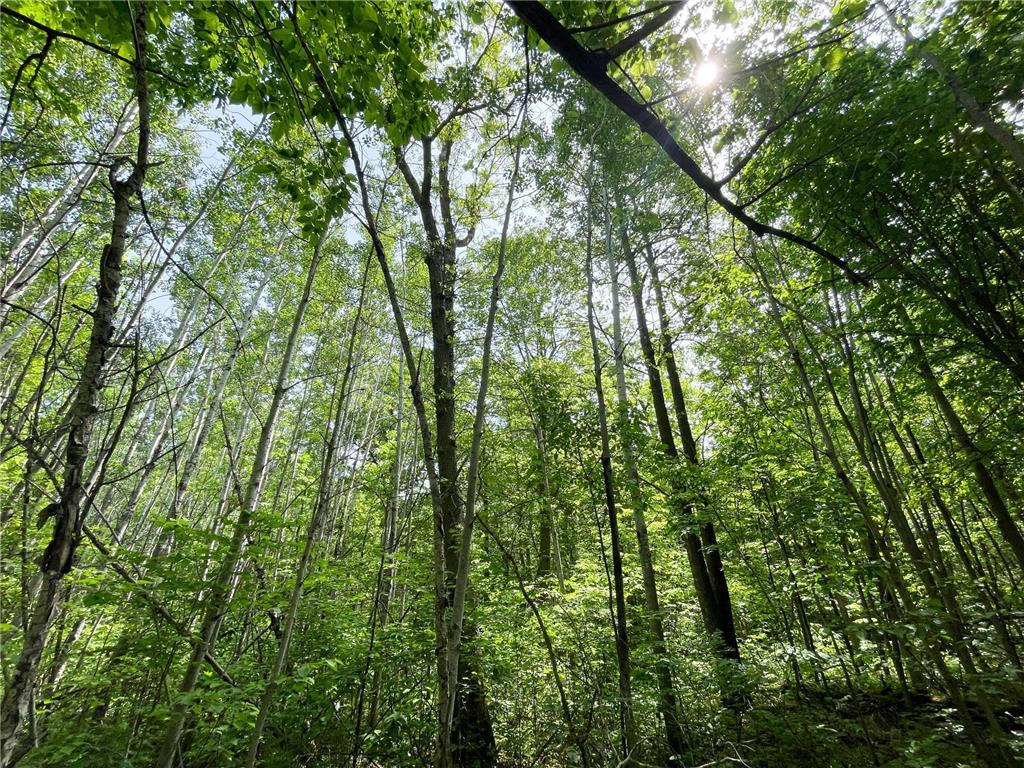 39309 350th Street SE Queen Twp MN 56542 6737750 image64