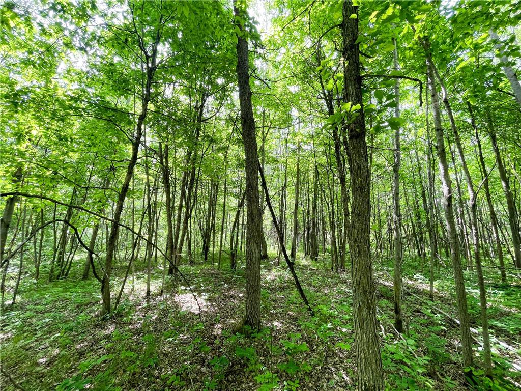 39309 350th Street SE Queen Twp MN 56542 6737750 image65