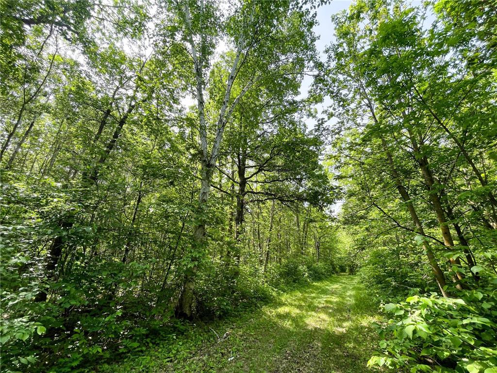 39309 350th Street SE Queen Twp MN 56542 6737750 image67