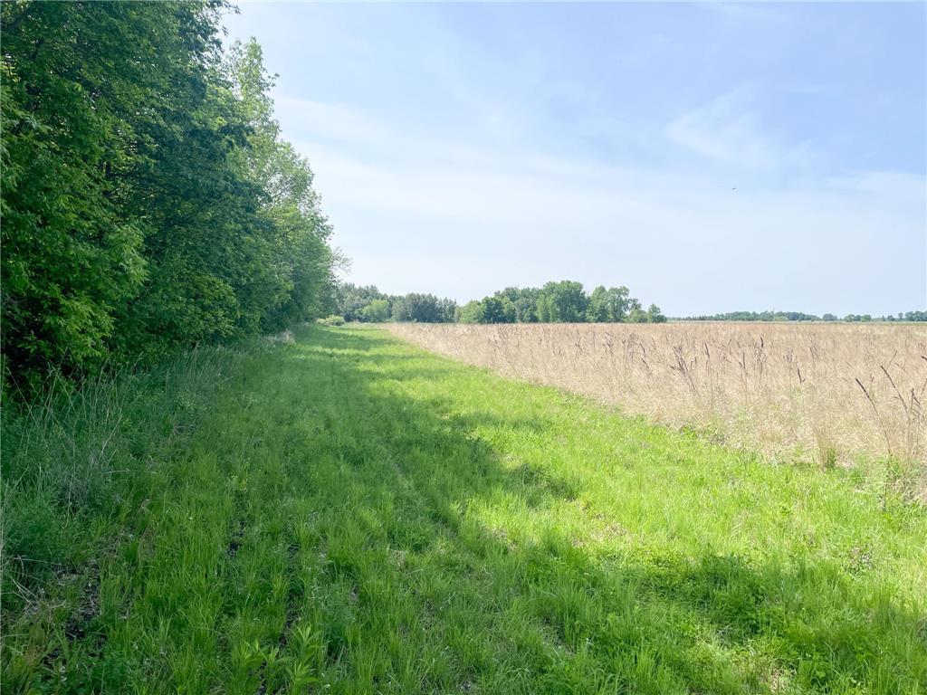 39309 350th Street SE Queen Twp MN 56542 6737750 image68