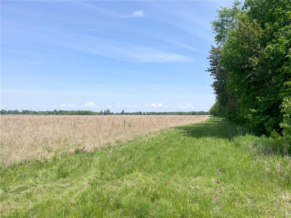 39309 350th Street SE Queen Twp MN 56542 6737750 image69