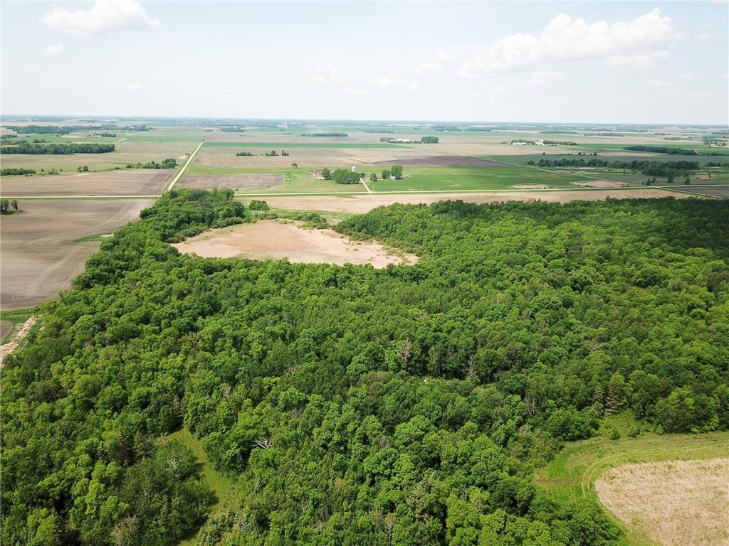 39309 350th Street SE Queen Twp MN 56542 6737750 image7