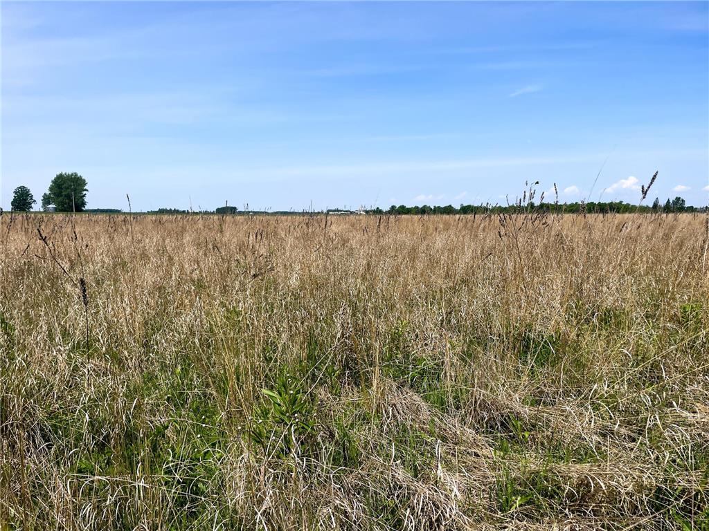 39309 350th Street SE Queen Twp MN 56542 6737750 image70