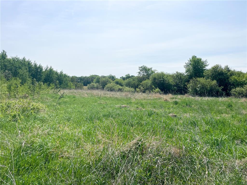 39309 350th Street SE Queen Twp MN 56542 6737750 image71