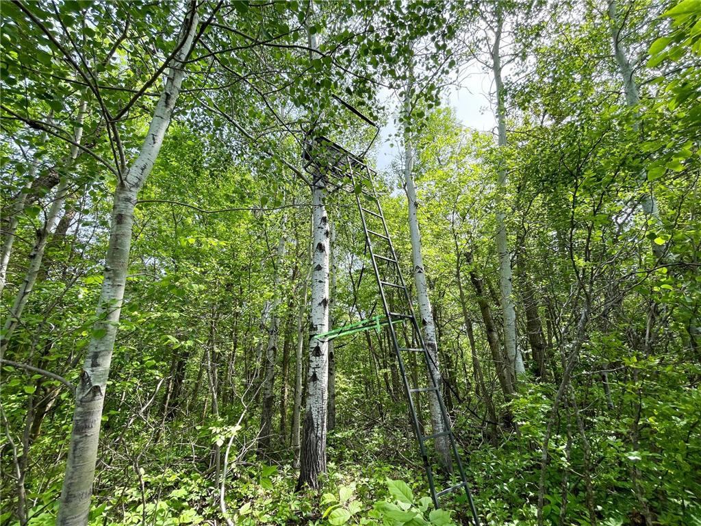 39309 350th Street SE Queen Twp MN 56542 6737750 image72