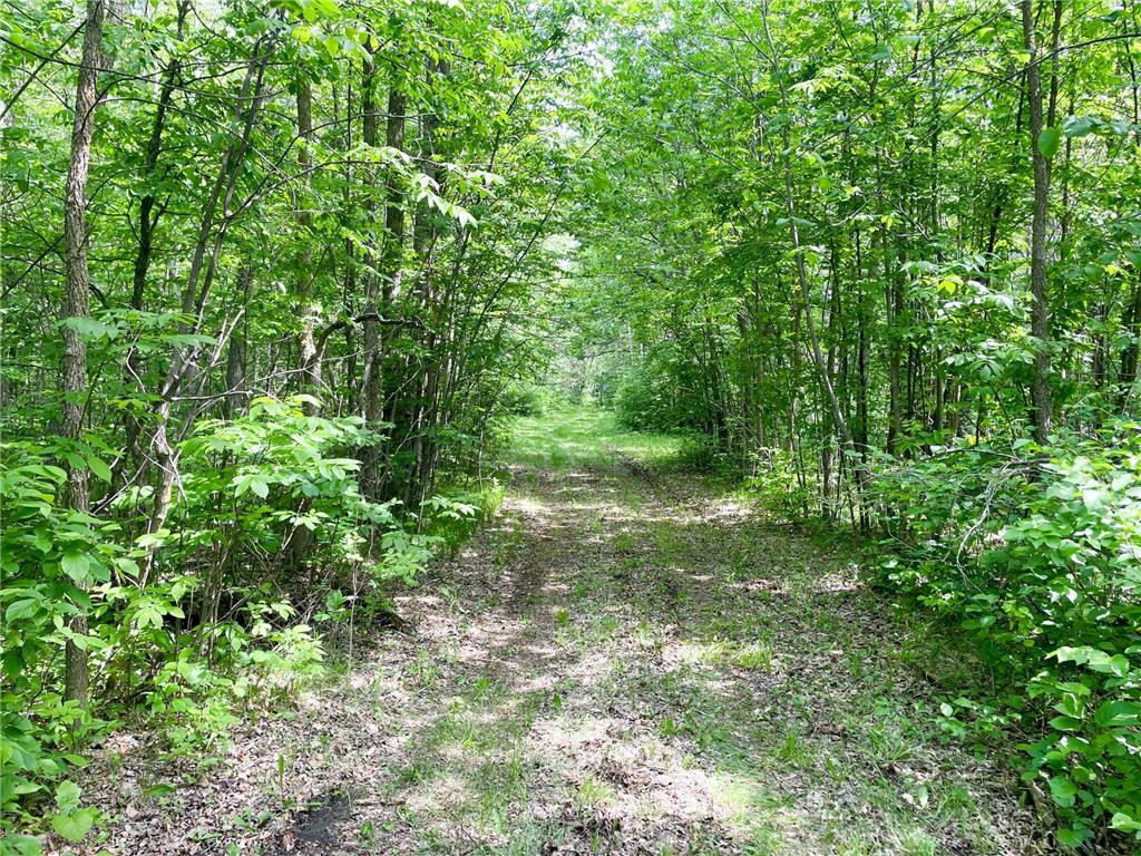 39309 350th Street SE Queen Twp MN 56542 6737750 image73