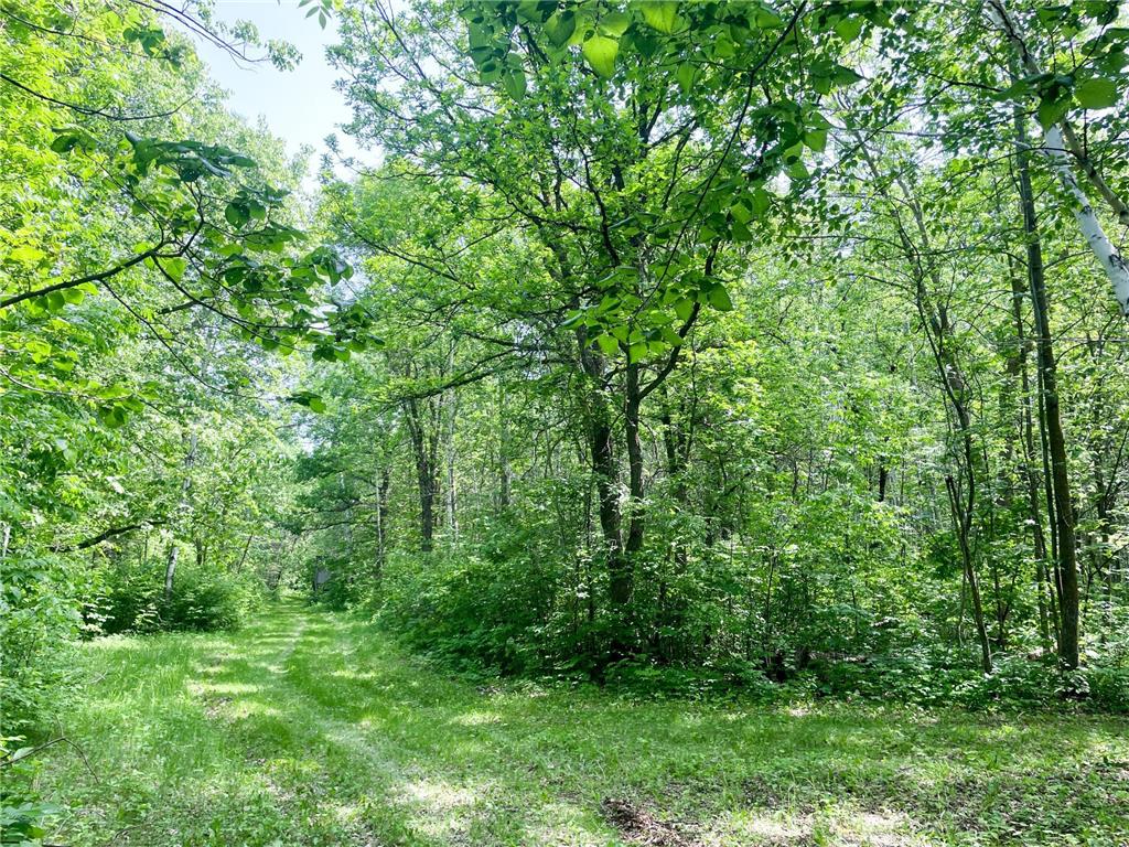 39309 350th Street SE Queen Twp MN 56542 6737750 image74