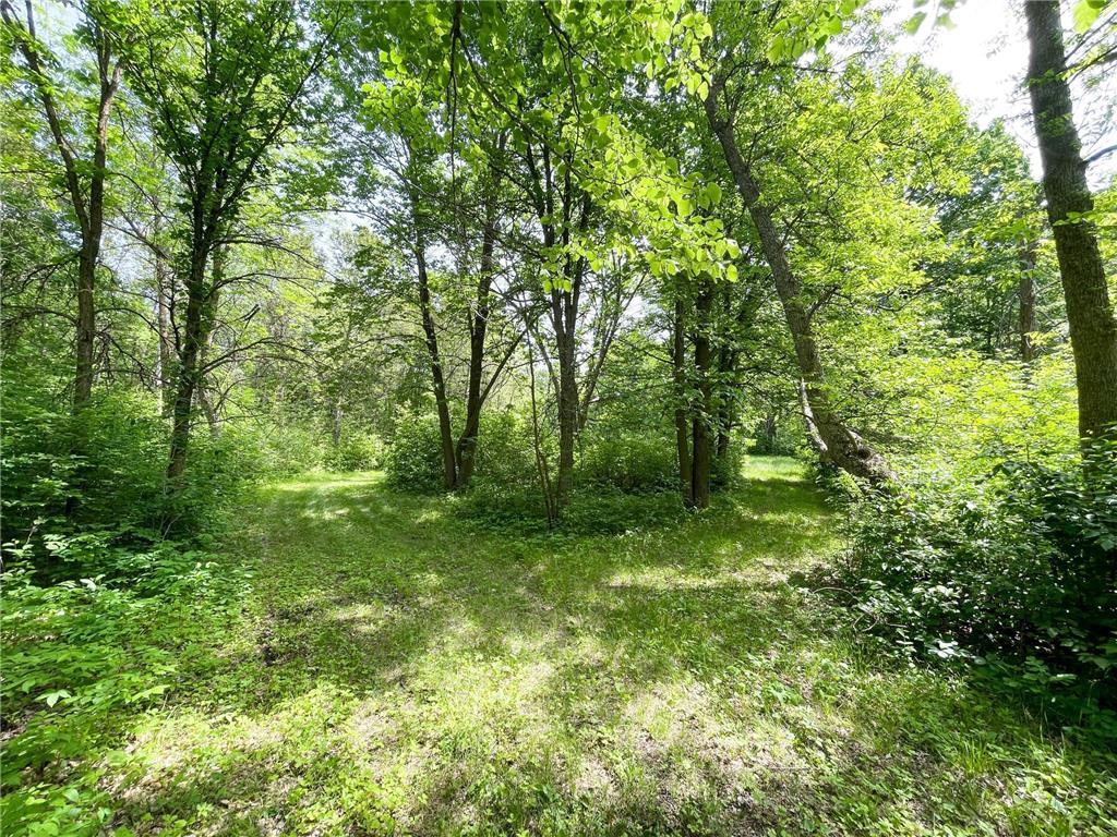 39309 350th Street SE Queen Twp MN 56542 6737750 image75