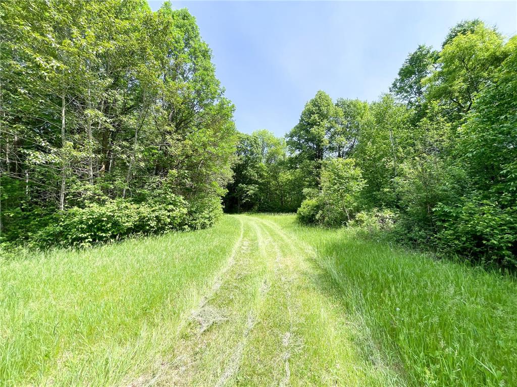 39309 350th Street SE Queen Twp MN 56542 6737750 image77